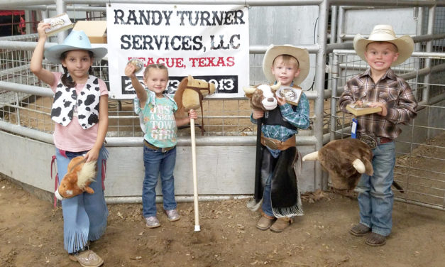 Annual Stick Horse & Bull Rodeo