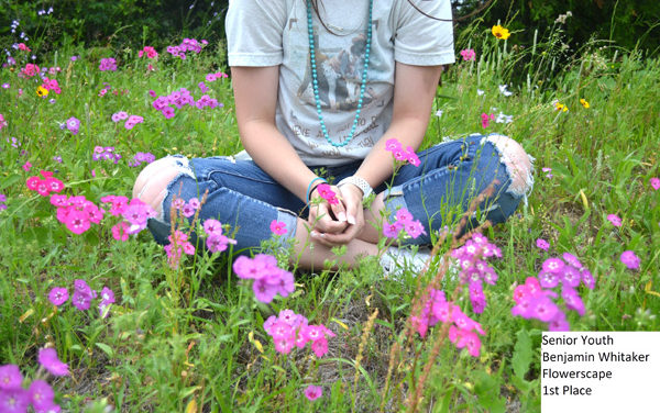 Winners Named in County Wildflower Photo Contest