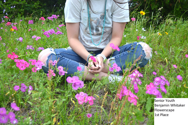 Winners Named in County Wildflower Photo Contest