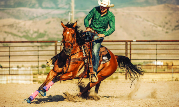 Upcoming Rodeos Announced Throughout Tri-County Area