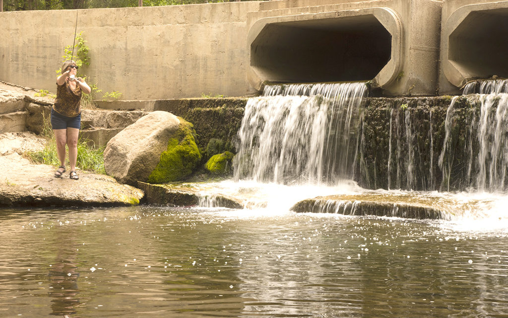 Woods, Waters, & Wildlife: An Enchanted Land