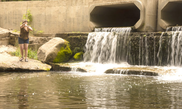 Woods, Waters, & Wildlife: An Enchanted Land