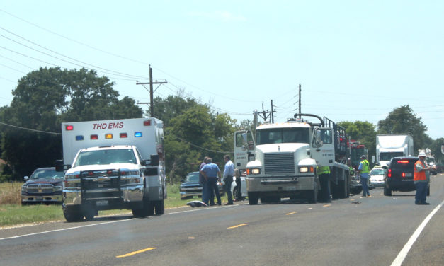 Fatal Collision on Hwy 84 Near Teague
