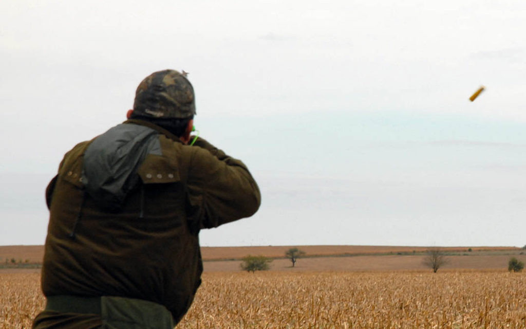 Woods, Waters, and Wildlife: Dove Hunting Tradition