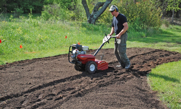 Create a Healthy Foundation for Fall Plantings
