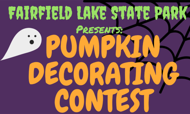 Enter The Pumpkin Decorating Contest
