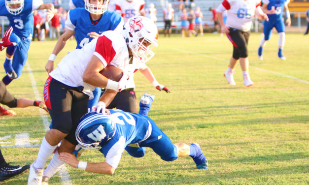 Bulldogs Game Ends At Halftime