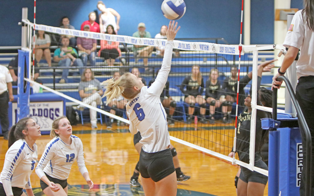 Lady Bulldogs Continue Winning Streak