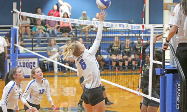 Lady Bulldogs Continue Winning Streak