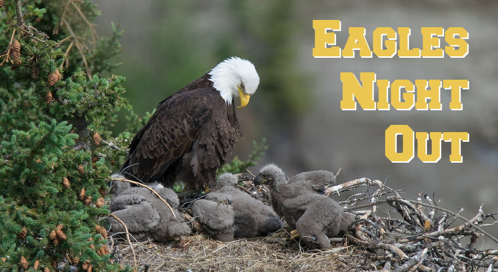 Sign Up for Eagles Night Out