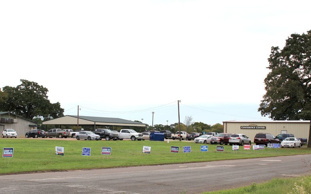 Large Crowds Vote Early in Mid-Term Elections