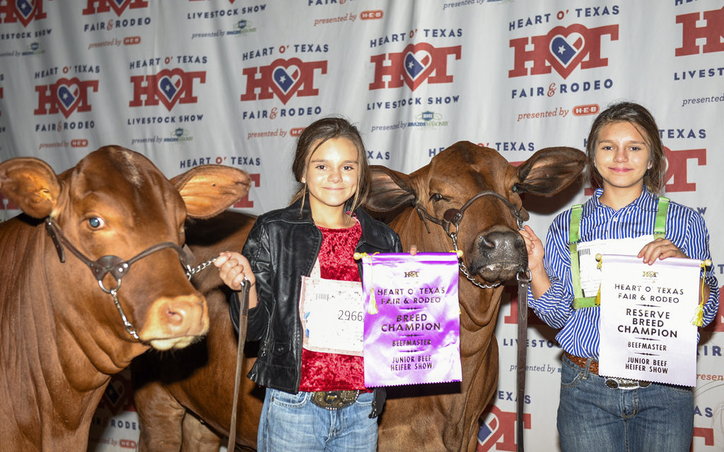Sisters Win Big At Heart Of Texas Livestock Show