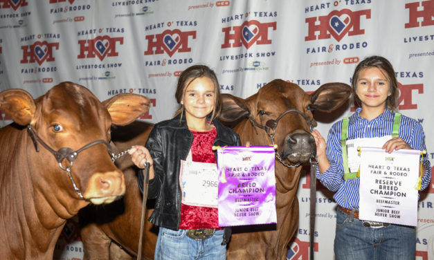 Sisters Win Big At Heart Of Texas Livestock Show