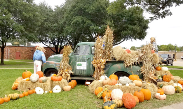 Autumn Arrives On The Square In Time For Pictures