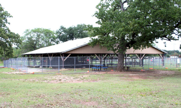 Committee Breathes New Life Into Park Pavilion