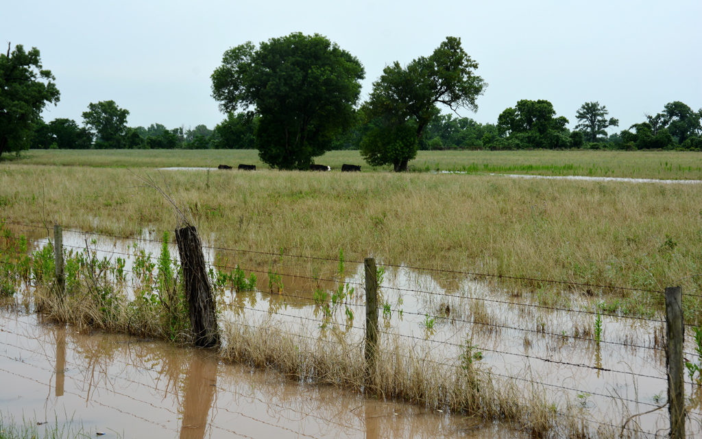 Rains delay harvests, planting schedules