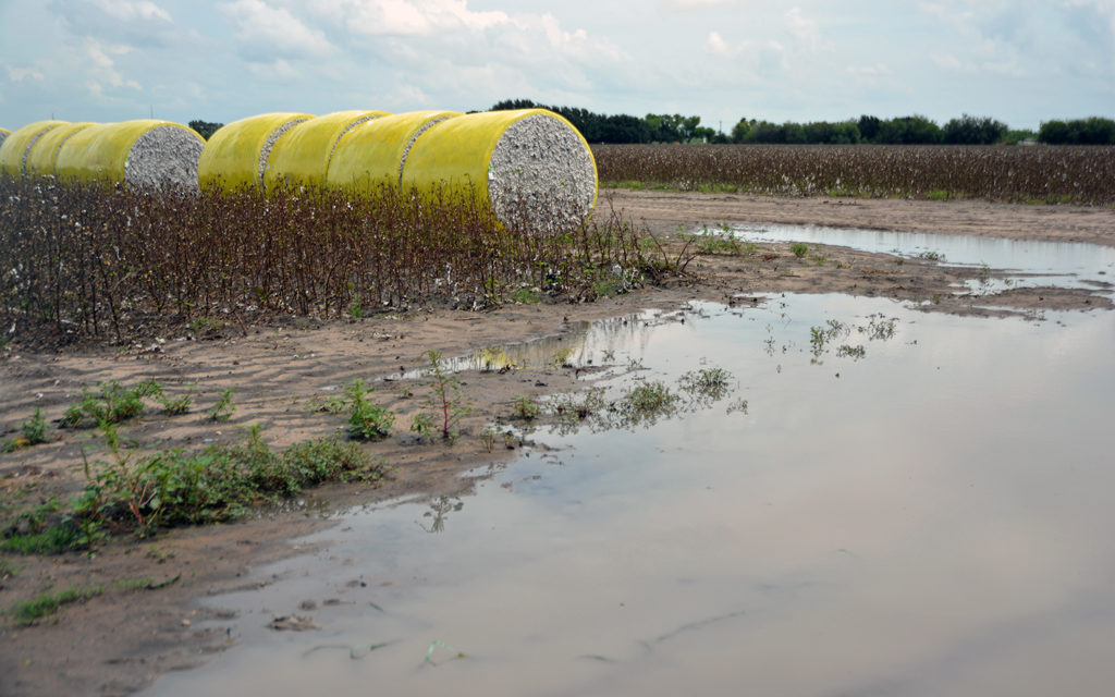 Texas experiences record-setting wet fall