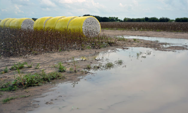 Texas experiences record-setting wet fall