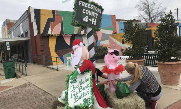 Vote For Your Favorite to Choose 2018 Winners of Lamp Post Decorating Contest