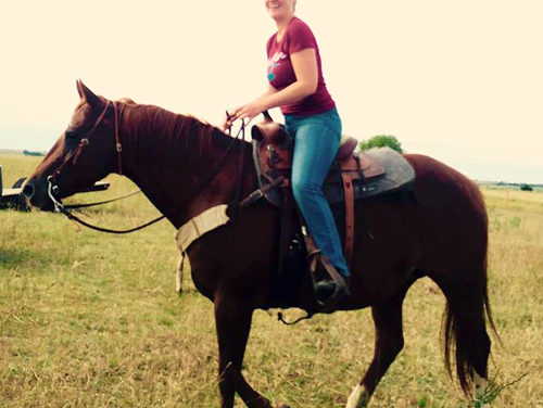 New Veterinarian Announced: Meet Dr. Foulke At Open House Nov. 17th