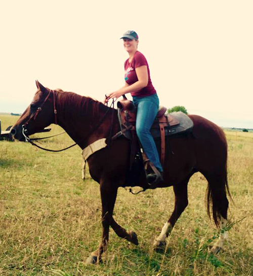 New Veterinarian Announced: Meet Dr. Foulke At Open House Nov. 17th