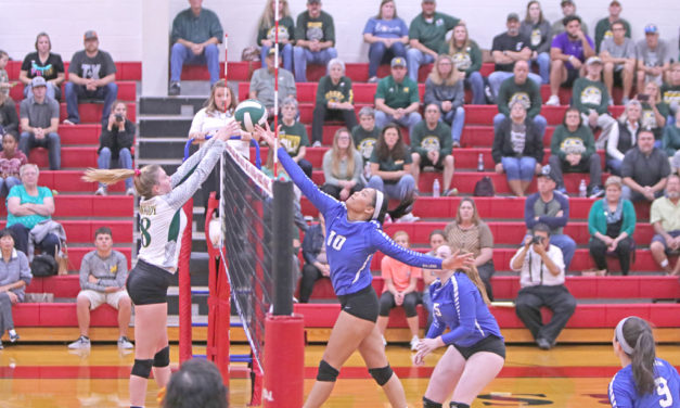 Lady Bulldogs End Playoffs With Marathon Match