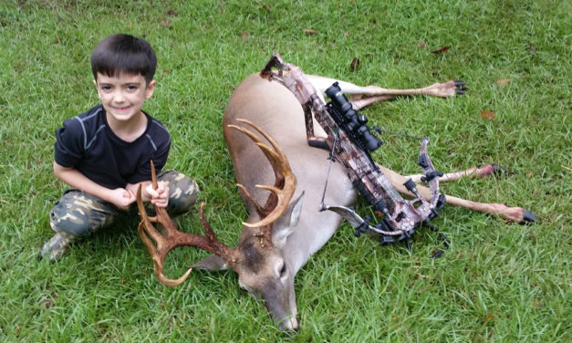 Woods, Waters, & Wildlife: Mucho Grande Deer