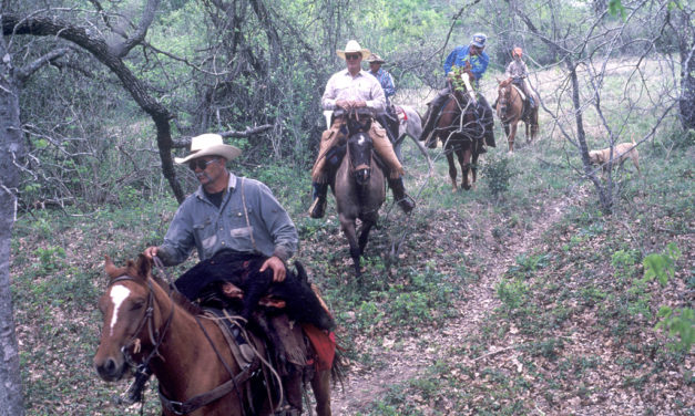 Woods, Waters, & Wildlife: On “Purpose”