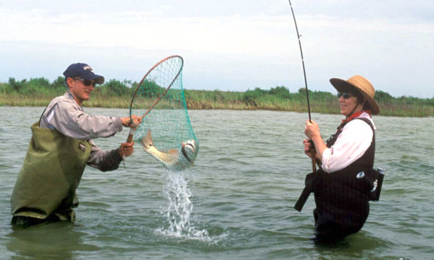 Woods, Waters, and Wildlife:  New Regulation Proposals