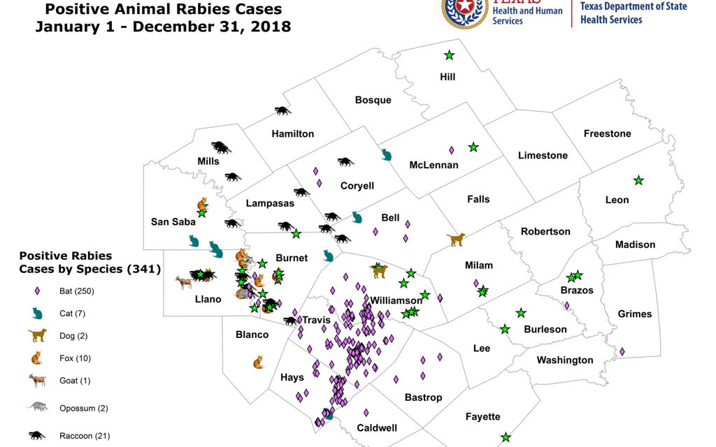 Rabies On The Rise Overall:  2018 Zoonosis Report – PHR 7