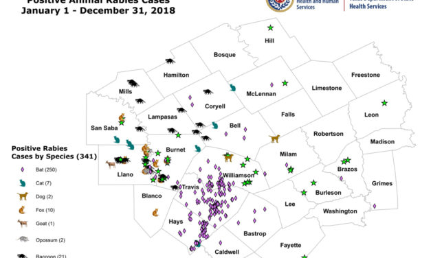Rabies On The Rise Overall:  2018 Zoonosis Report – PHR 7