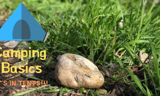 Spring Break Fun at Fairfield Lake State Park