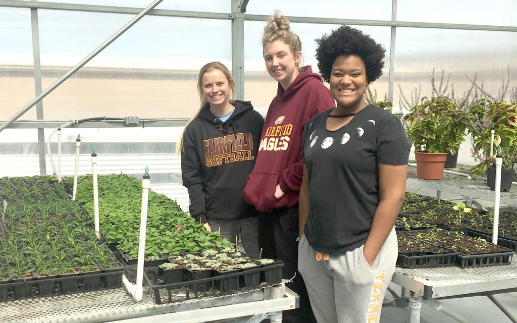 Plants Offered by Fairfield Students