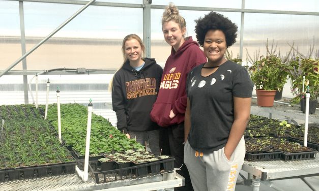 Plants Offered by Fairfield Students