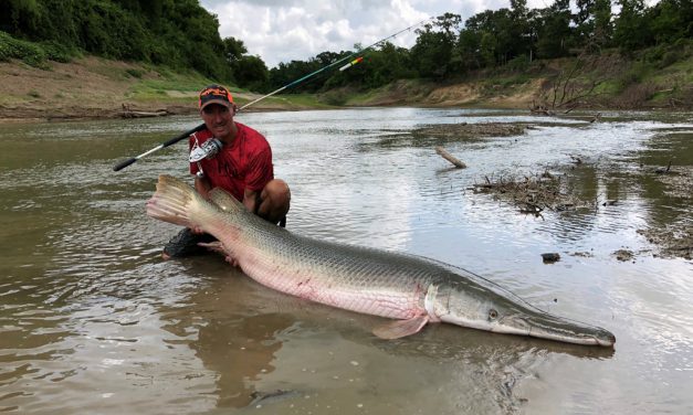 Woods, Waters, and Wildlife: Godzilla Gars