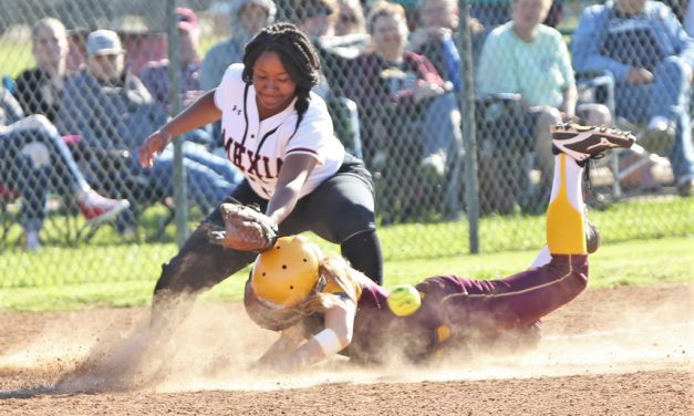 Lady Eagles Claim Second Place in District Softball