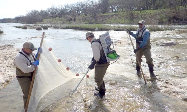 Woods, Waters, and Wildlife:  For Love Of The Llano