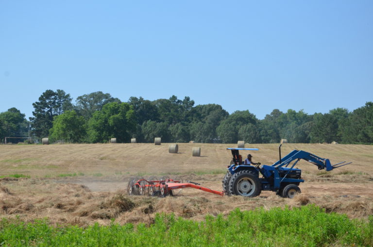 Carryover hay supplies tight with 2019 season off to slow start