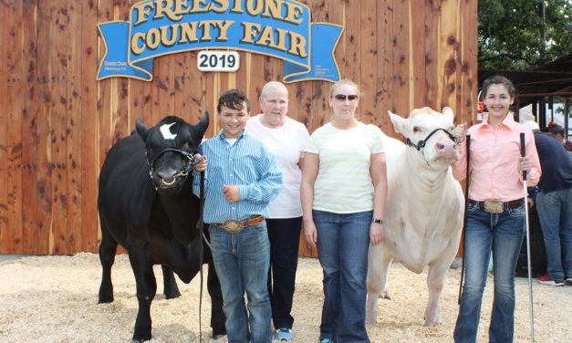 Livestock Sale Eclipses $480,000