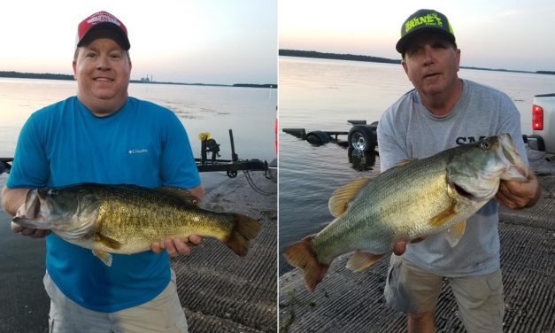 $180 For A 6.61 Pound Bass