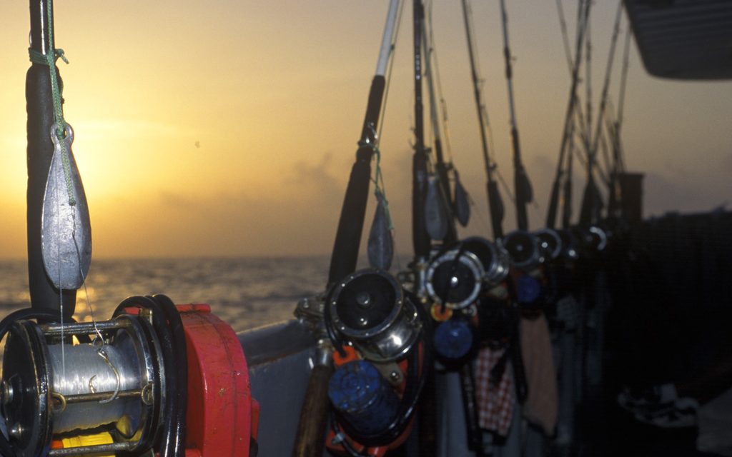 Woods, Waters, and Wildlife:  Snapper Season Open