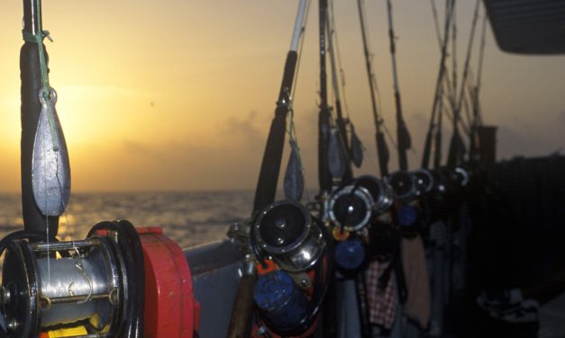 Woods, Waters, and Wildlife:  Snapper Season Open