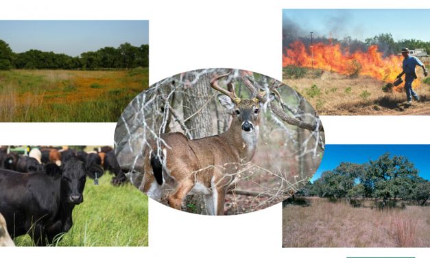 Wildlife Lunch & Learn in Fairfield June 26th
