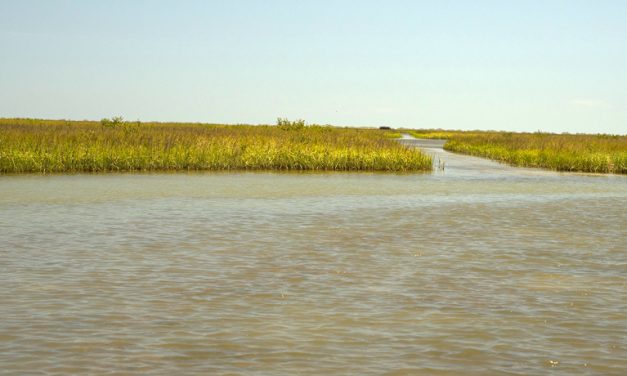 Woods, Waters, and Wildlife:  Bad Boating Behavior