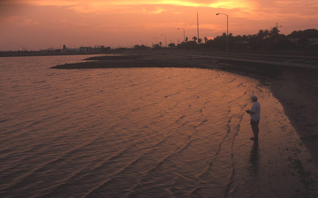 Woods, Waters, and Wildlife:  Summertime