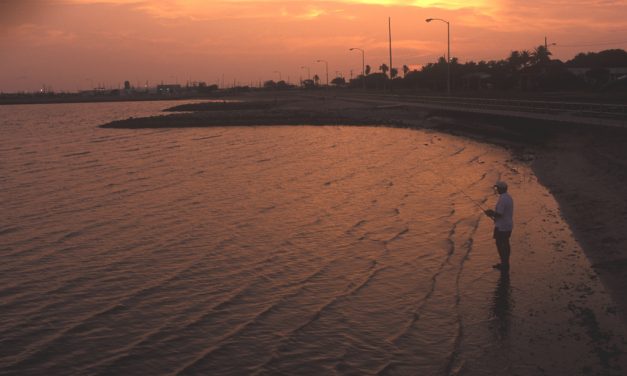 Woods, Waters, and Wildlife:  Summertime