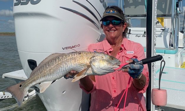 Woods, Waters, and Wildlife:  A Slow Learner