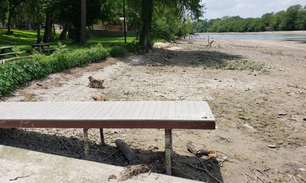 Woods, Waters, and Wildlife:  Dam