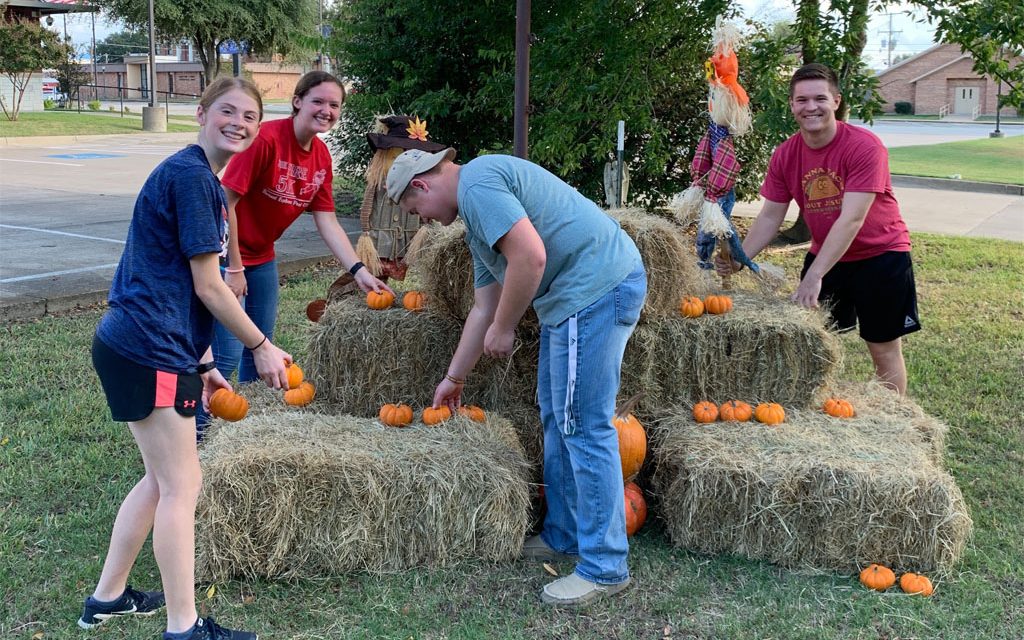 BETA and Pumpkins