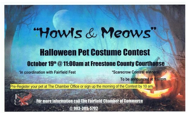Enter Your Pet In Saturday’s Halloween Costume Contest